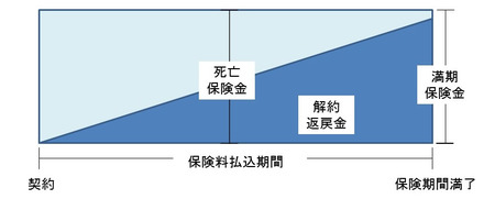 養老保険